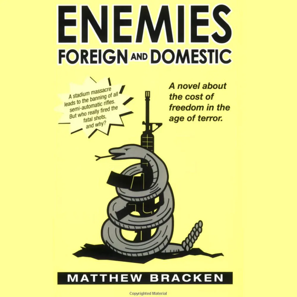 Enemies Foriegn and Domestic, by Matthew Bracken